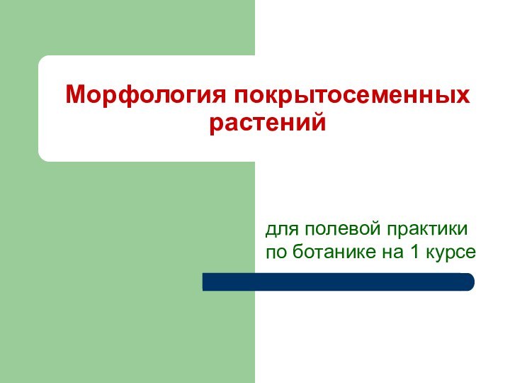 Морфология покрытосеменных растенийдля полевой практики по ботанике на 1 курсе