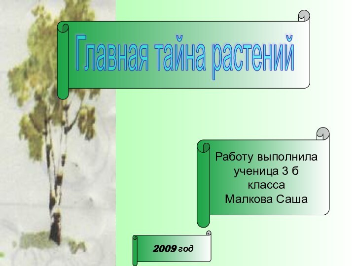 Главная тайна растенийРаботу выполнилаученица 3 бкласса Малкова Саша2009 год