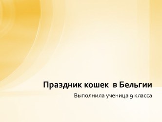 Праздник кошек в Бельгии