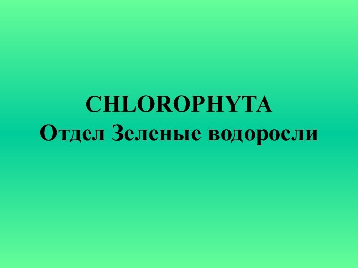 CHLOROPHYTA Отдел Зеленые водоросли