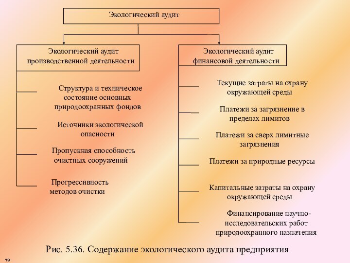 79Рис. 5.36. Содержание экологического аудита предприятия