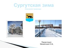Сургутская зима. Неживая природа