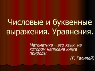 Числовые и буквенные выражения. Уравнения