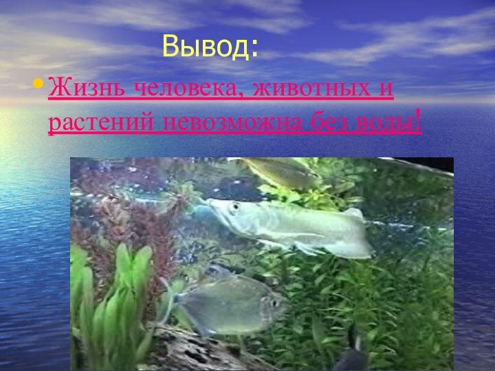 Вывод:Жизнь человека, животных и растений невозможна без воды!