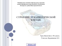 Особенности строения эукариотической клетки