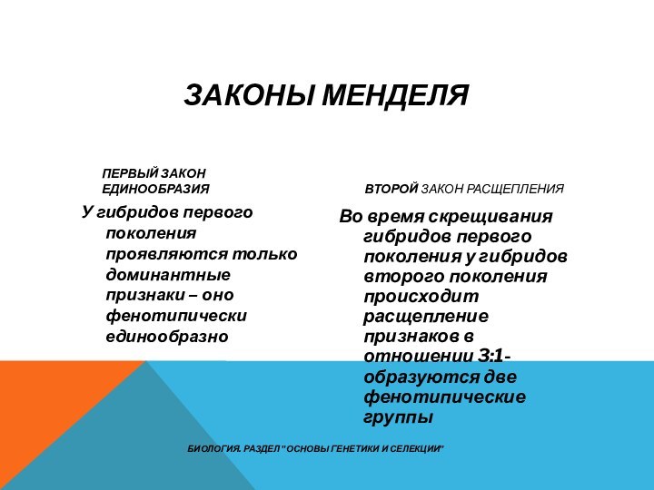 Законы МенделяПервый закон единообразияУ гибридов первого поколения проявляются только доминантные признаки –