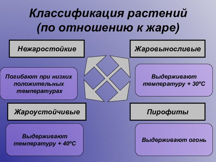 Классификация растений  (по отношению к жаре)Нежаростойкие Жаровыносливые Жароустойчивые Пирофиты Погибают при