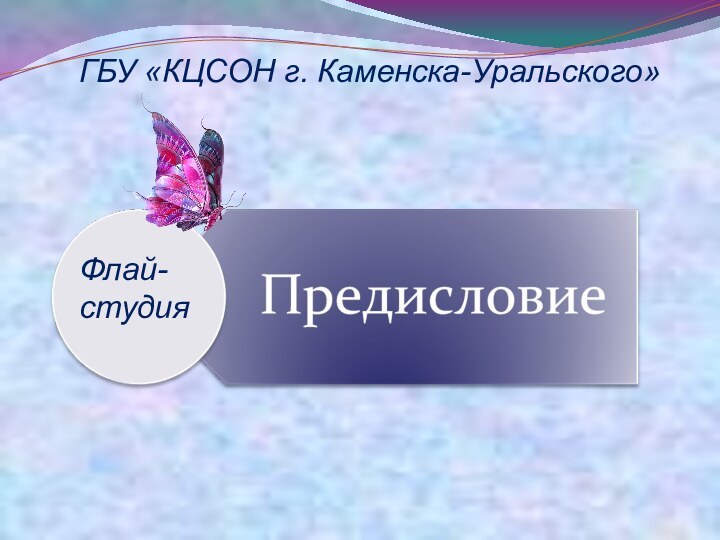 Флай-студияГБУ «КЦСОН г. Каменска-Уральского»