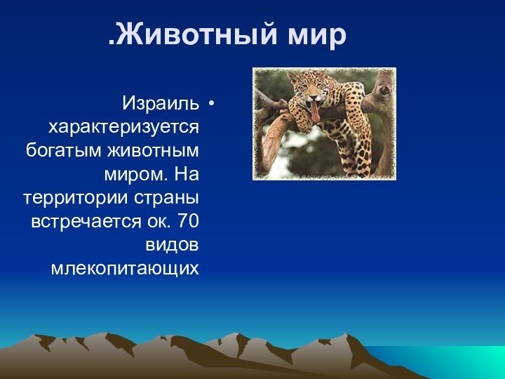 Животный мир. Израиль характеризуется богатым животным миром. На территории страны встречается ок. 70 видов млекопитающих