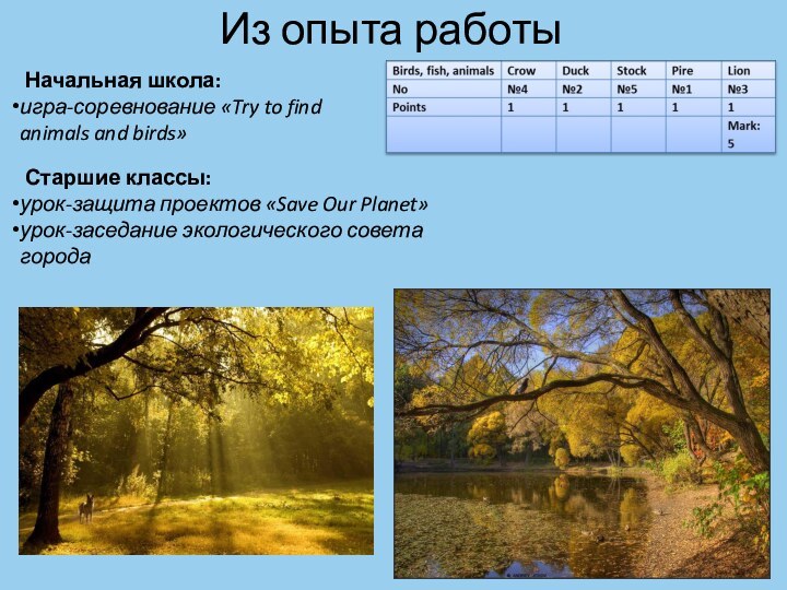 Из опыта работы Начальная школа:игра-соревнование «Try to find animals and birds»  Старшие классы:урок-защита проектов