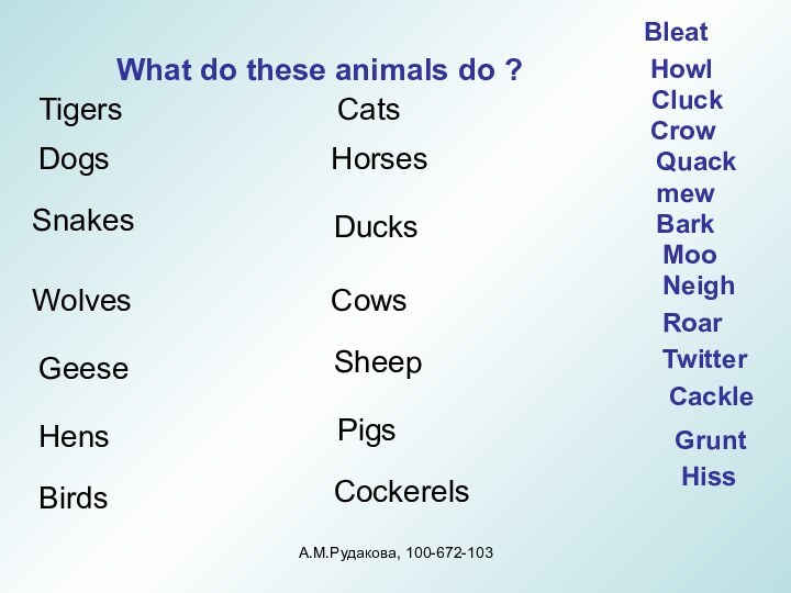 What do these animals do ?BleatTigers Cats Horses Snakes Ducks Pigs Sheep