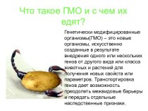 Что такое ГМО и с чем их едят?