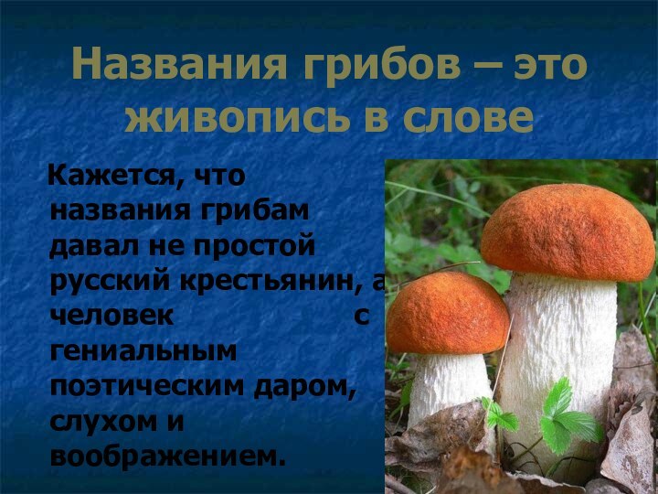 Названия грибов – это живопись в слове  Кажется, что названия грибам