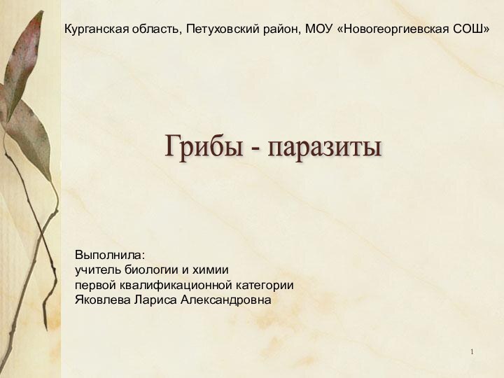 Курганская область, Петуховский район, МОУ «Новогеоргиевская СОШ»Выполнила:учитель биологии и химиипервой квалификационной категорииЯковлева