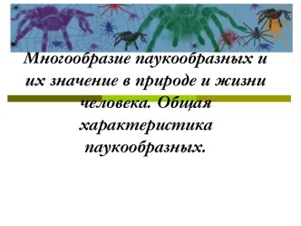 Многообразие паукообразных и их значение в природе и жизни человека. Общая характеристика паукообразных