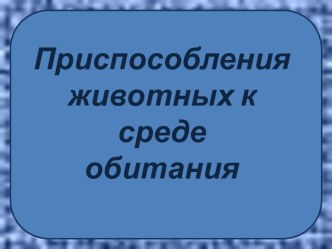 Приспособления животных к среде обитания