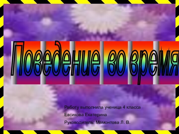 Поведение во время грозы Работу выполнила ученица 4 классаЕвсикова ЕкатеринаРуководитель: Мамонтова Л. В.