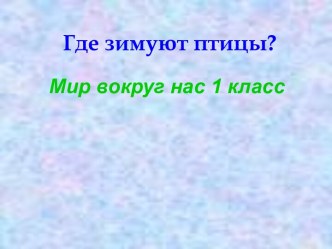 Где зимуют птицы?