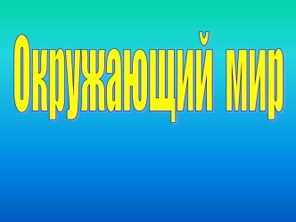 Бюджет доходов и расходов