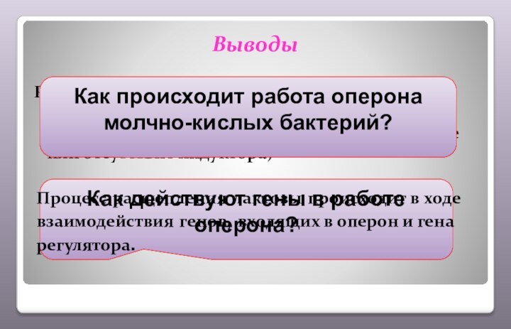 Выводы Работа оперона молочно-кислых бактерий происходит в результате деятельности белка репрессора и