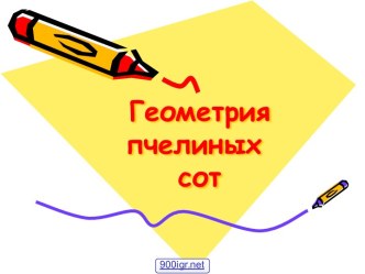 Соты пчёлы