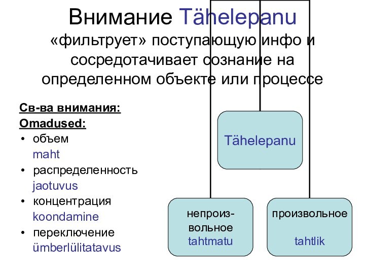 Внимание Tähelepanu «фильтрует» поступающую инфо и сосредотачивает сознание на определенном объекте или