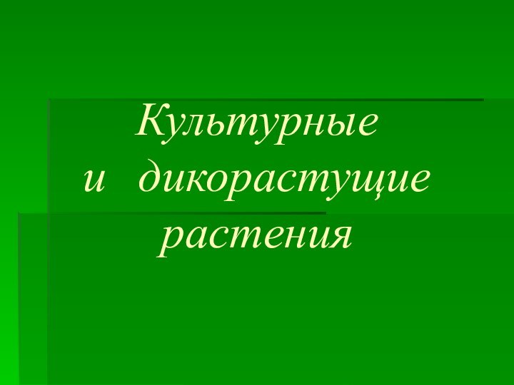 Культурные  и дикорастущие растения