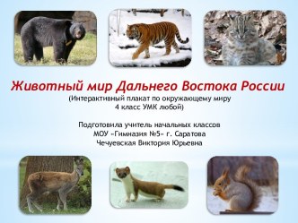 Интерактивный плакат Животный мир Дальнего Востока России