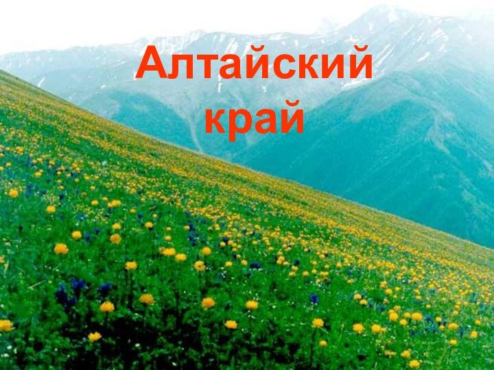 Алтайский  край