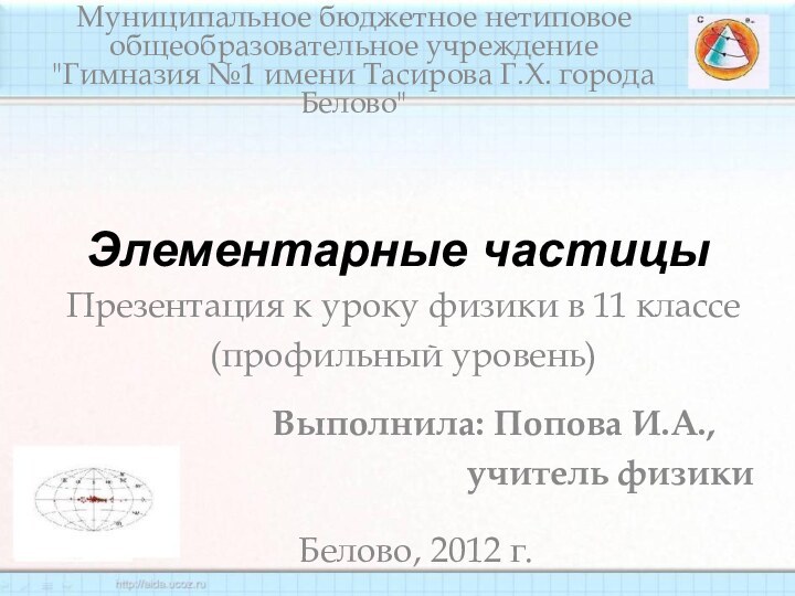 Элементарные частицыМуниципальное бюджетное нетиповое общеобразовательное учреждение 