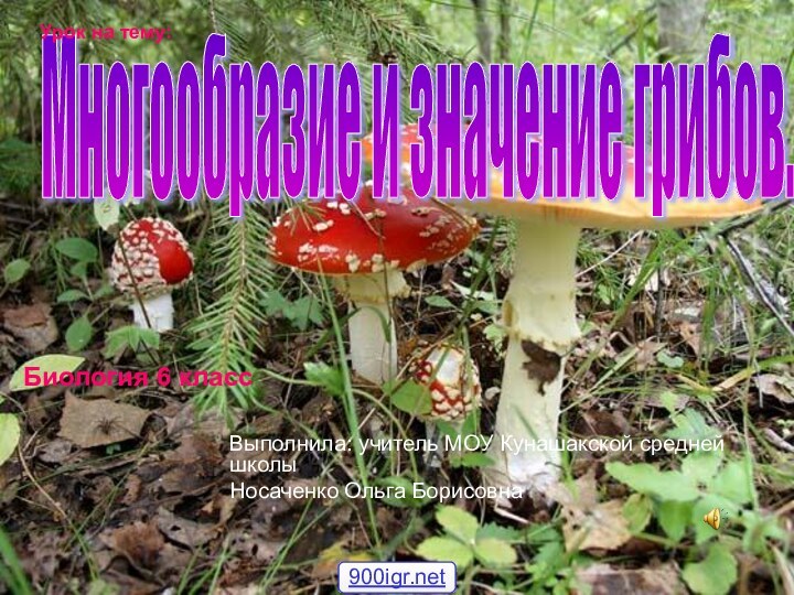 Выполнила: учитель МОУ Кунашакской средней школыНосаченко Ольга Борисовна Многообразие и значение грибов.