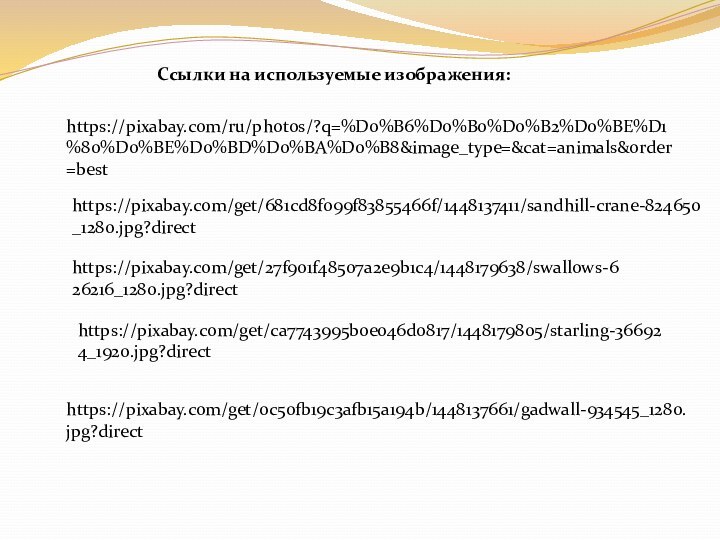 Ссылки на используемые изображения:https://pixabay.com/ru/photos/?q=%D0%B6%D0%B0%D0%B2%D0%BE%D1%80%D0%BE%D0%BD%D0%BA%D0%B8&image_type=&cat=animals&order=besthttps://pixabay.com/get/681cd8f099f83855466f/1448137411/sandhill-crane-824650_1280.jpg?directhttps://pixabay.com/get/0c50fb19c3afb15a194b/1448137661/gadwall-934545_1280.jpg?directhttps://pixabay.com/get/27f901f48507a2e9b1c4/1448179638/swallows-626216_1280.jpg?directhttps://pixabay.com/get/ca7743995b0e046d0817/1448179805/starling-366924_1920.jpg?direct