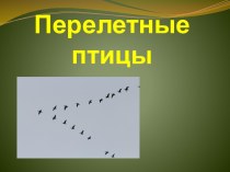 Перелетные птицы