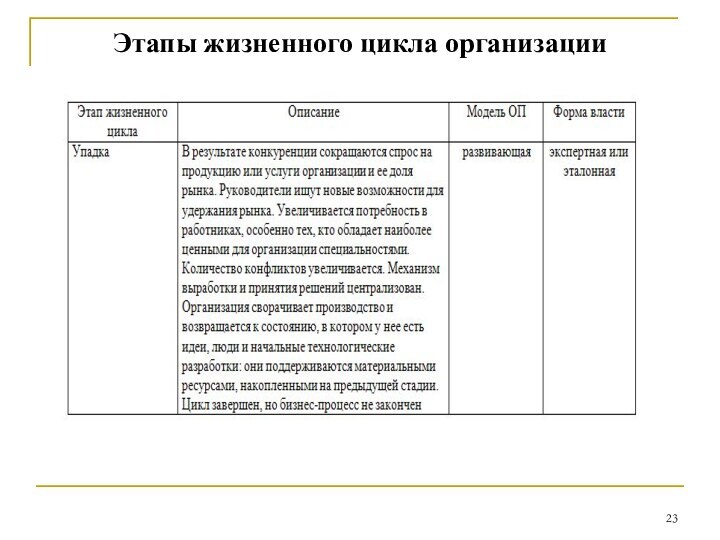 Этапы жизненного цикла организации