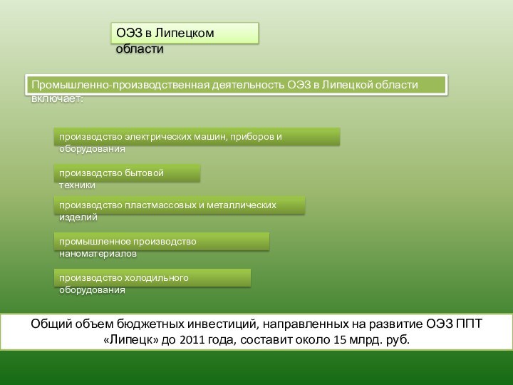 ОЭЗ в Липецком областиПромышленно-производственная деятельность ОЭЗ в Липецкой области включает:производство электрических машин,