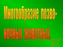 Многообразие позвоночных животных