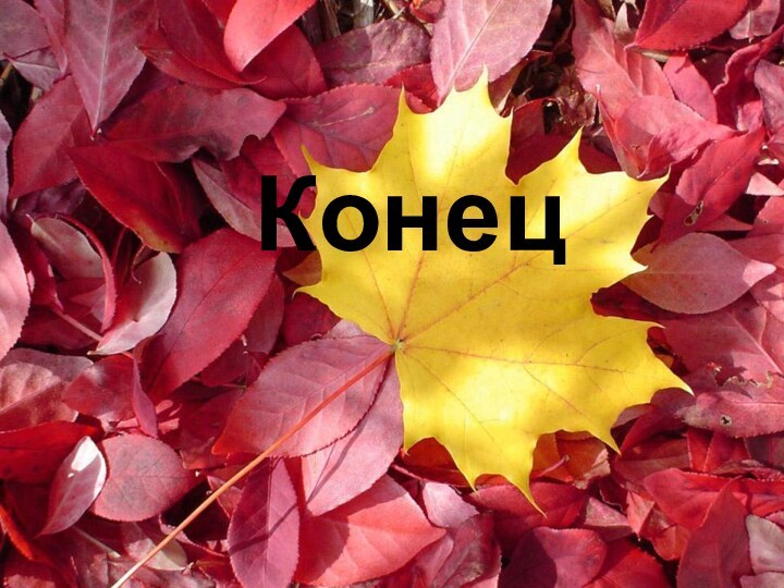 Конец