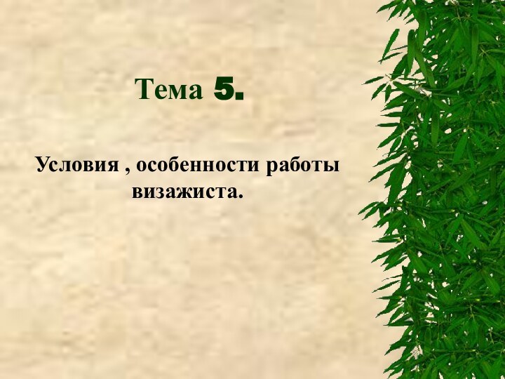 Тема 5.Условия , особенности работы визажиста.