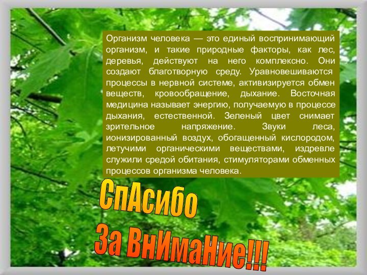 Организм человека — это единый воспринимающий организм, и такие природные факторы, как