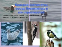 Видовой состав птиц города Вилючинска и его окрестностей