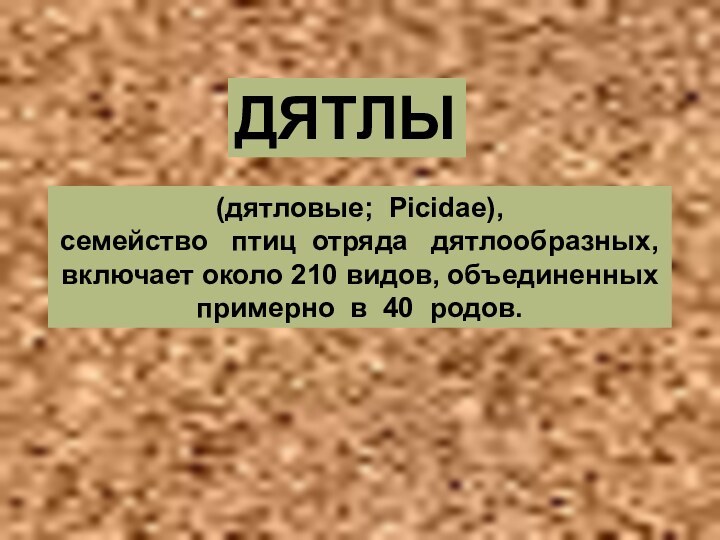 (дятловые; Picidae), семейство  птиц отряда  дятлообразных, включает около 210 видов,