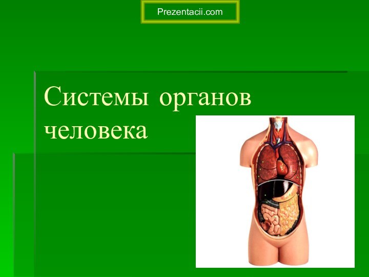 Системы органов человека Prezentacii.com