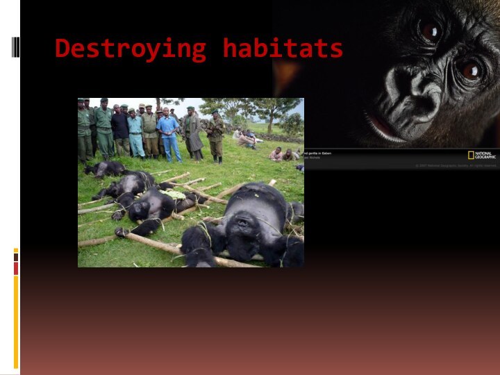 Destroying habitats
