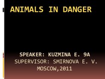 Animals in danger