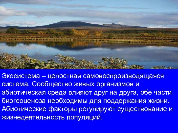 Экосистема – целостная самовоспроизводящаяся система. Сообщество живых организмов и абиотическая среда влияют