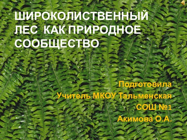 ШИРОКОЛИСТВЕННЫЙ ЛЕС КАК ПРИРОДНОЕ СООБЩЕСТВОПодготовилаУчитель МКОУ Тальменская СОШ №1Акимова О.А.