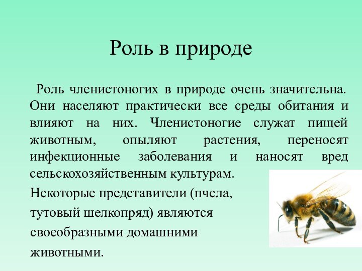 Роль в природе  Роль членистоногих в природе очень значительна. Они населяют