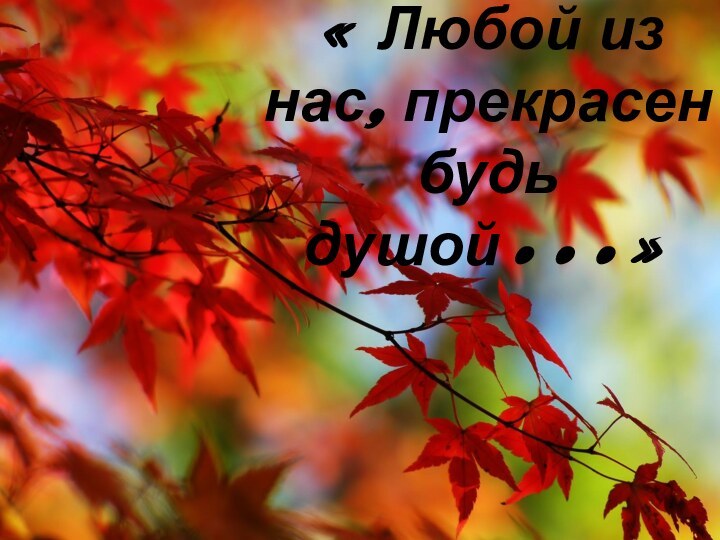 « Любой из нас, прекрасен будь душой…»