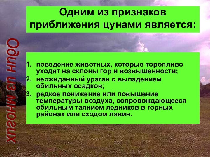 Одним из признаков приближения цунами является: поведение животных, которые торопливо уходят