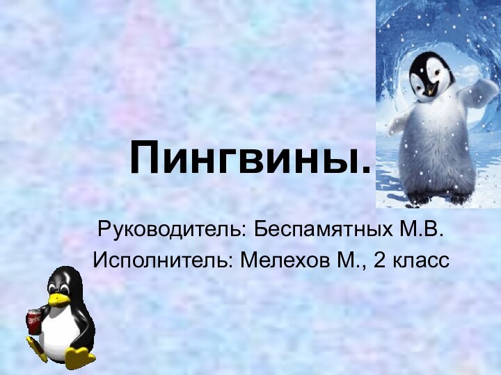 Пингвины.Руководитель: Беспамятных М.В.Исполнитель: Мелехов М., 2 класс